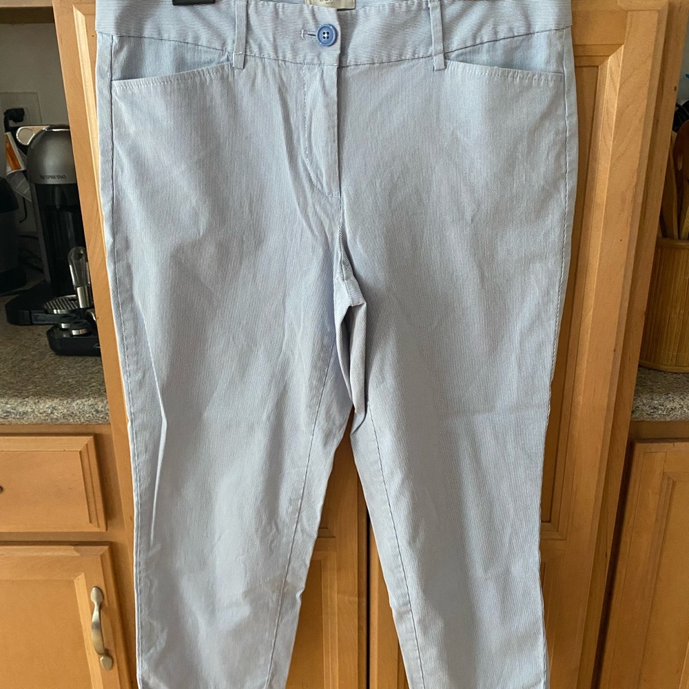 Loft Women’s blue and white pinstripe pants.